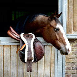 Sangle Anatomique mouton Kentucky Marron Sangle Anatomique mouton Kentucky Marron