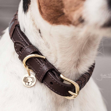 Collier pour chien Triangle Kentucky Marron