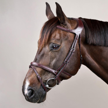 Bridon Différence New English Collection by Dy'on Brun Marron