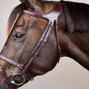 Bridon Différence New English Collection by Dy'on Brun Marron