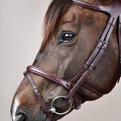 Bridon Différence New English Collection by Dy'on Brun Marron