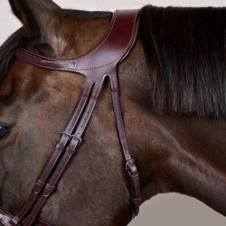 Bridon Différence New English Collection by Dy'on Brun Marron