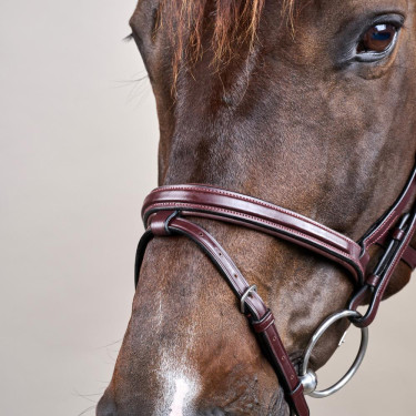 Bridon Différence New English Collection by Dy'on Brun Marron