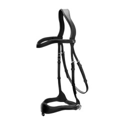 Bridon D Motion New English Collection by Dy'on Noir