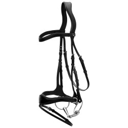 Bridon D Motion New English Collection by Dy'on Noir