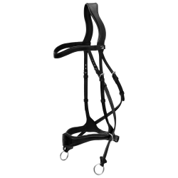 Bridon D Motion New English Collection by Dy'on Noir