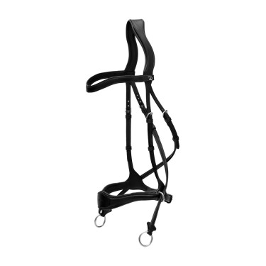 Bridon D Motion New English Collection by Dy'on Noir