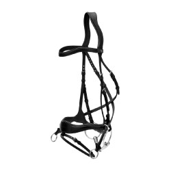 Bridon D Motion New English Collection by Dy'on Noir