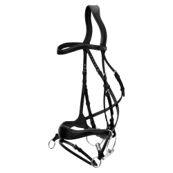 Bridon D Motion New English Collection by Dy'on Noir