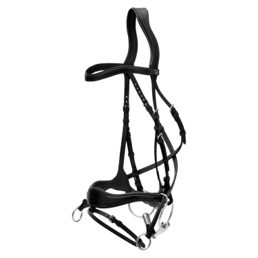 Bridon D Motion New English Collection by Dy'on Noir