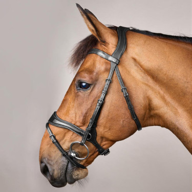 Bridon D Motion New English Collection by Dy'on Noir