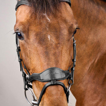 Bridon D Motion New English Collection by Dy'on Noir