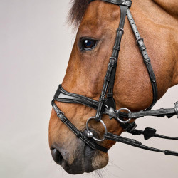 Bridon D Motion New English Collection by Dy'on Noir