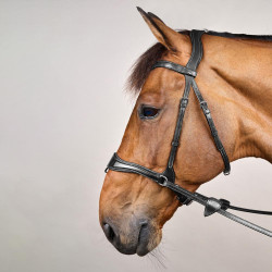 Bridon D Motion New English Collection by Dy'on Noir