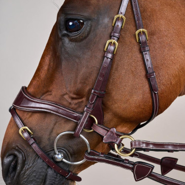 Bridon D Motion D Collection by Dy'on Marron