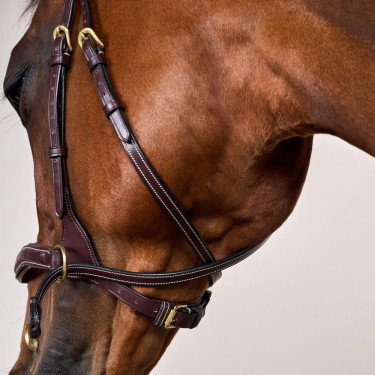 Bridon D Motion D Collection by Dy'on Marron