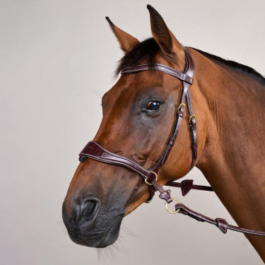 Bridon D Motion D Collection by Dy'on Marron