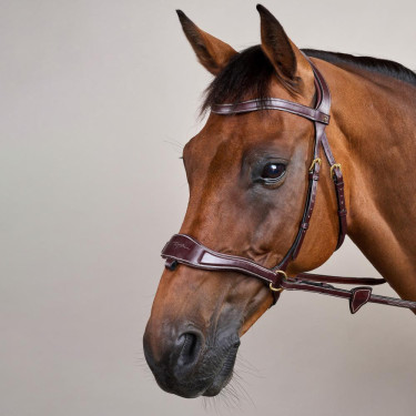 Bridon D Motion D Collection by Dy'on Marron