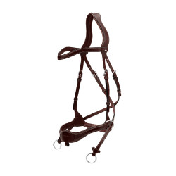 Bridon D Motion D Collection by Dy'on Marron