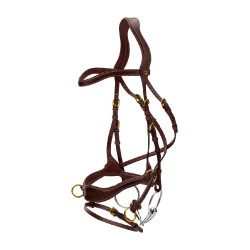 Bridon D Motion D Collection by Dy'on Marron