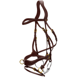 Bridon D Motion D Collection by Dy'on Marron