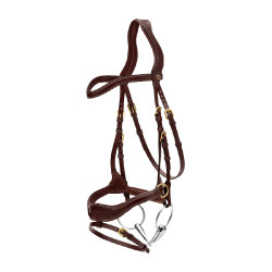 Bridon D Motion D Collection by Dy'on Marron