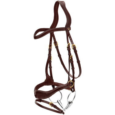 Bridon D Motion D Collection by Dy'on Marron