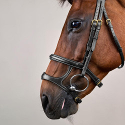 Bridon Double Muserolle D Collection by Dy'on Noir