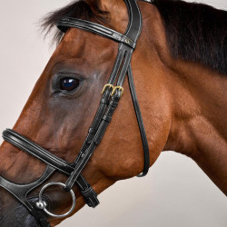 Bridon Double Muserolle D Collection by Dy'on Noir