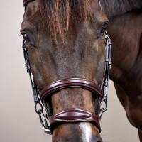 Bridon Double Muserolle New English Collection by Dy'on Noir