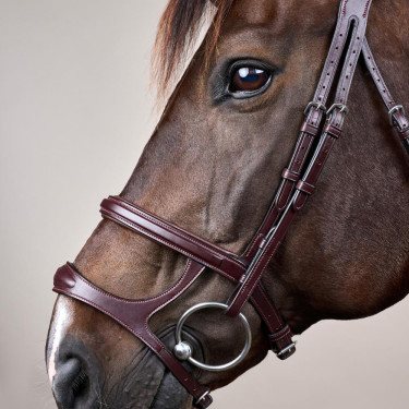 Bridon Double Muserolle New English Collection by Dy'on Marron