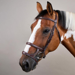 Bridon Double Muserolle US Collection by Dy'on Marron