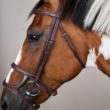 Bridon Double Muserolle US Collection by Dy'on Marron