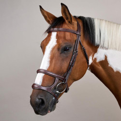 Bridon Double Muserolle US Collection by Dy'on Marron