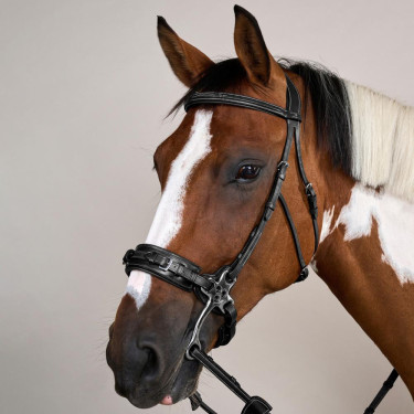 Bridon Hackamore US Collection by Dy'on Noir