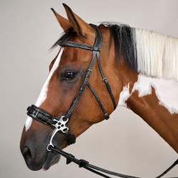 Bridon Hackamore US Collection by Dy'on Noir
