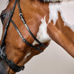 Bridon Hackamore US Collection by Dy'on Noir