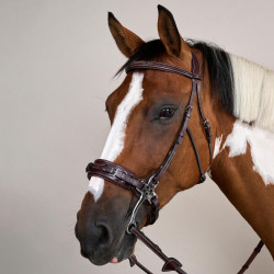 Bridon Hackamore US Collection by Dy'on Brun Marron
