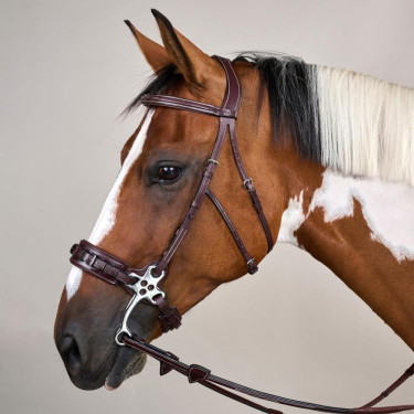Bridon Hackamore US Collection by Dy'on Brun Marron