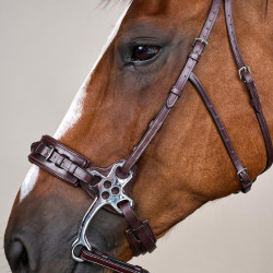 Bridon Hackamore US Collection by Dy'on Brun Marron