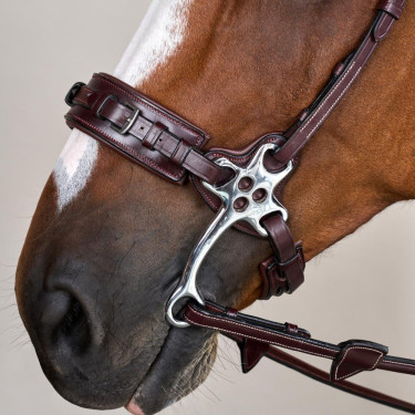 Bridon Hackamore US Collection by Dy'on Brun Marron