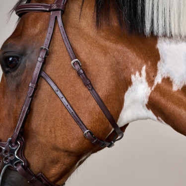 Bridon Hackamore US Collection by Dy'on Brun Marron