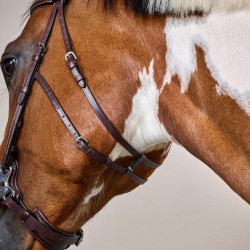 Bridon Hackamore US Collection by Dy'on Brun Marron