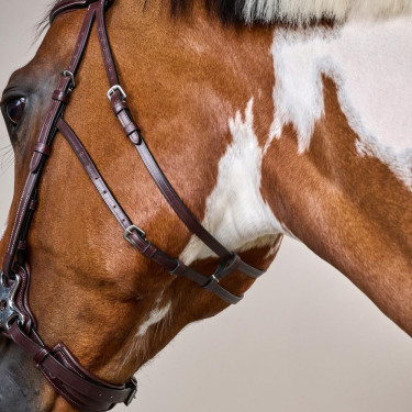 Bridon Hackamore US Collection by Dy'on Brun Marron