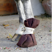 Chaussure de traitement... Chaussure de traitement...