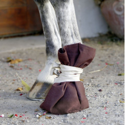 Chaussure de traitement Covalliero Chaussure de traitement Covalliero