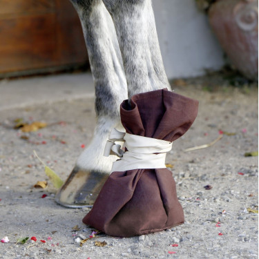 Chaussure de traitement Covalliero Chaussure de traitement Covalliero