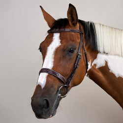 Bridon Hunter US Collection by Dy'on Brun Marron