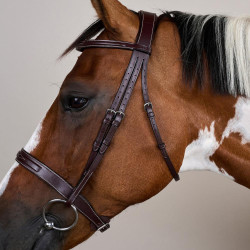 Bridon Hunter US Collection by Dy'on Brun Marron