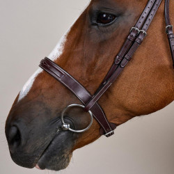 Bridon Hunter US Collection by Dy'on Brun Marron